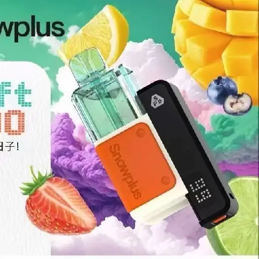 Snowplus 雪加积木蛋一万五超大容量