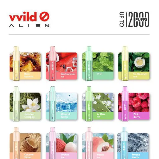 vvild小野一次性
